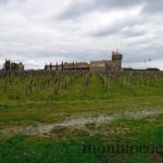 chateau-smith-haut-lafitte-gironde-vignoble-03