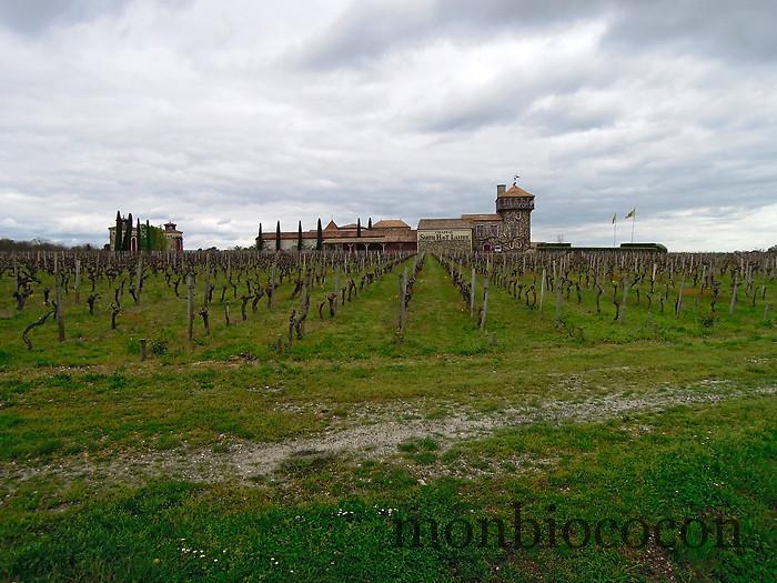 chateau-smith-haut-lafitte-gironde-vignoble-03