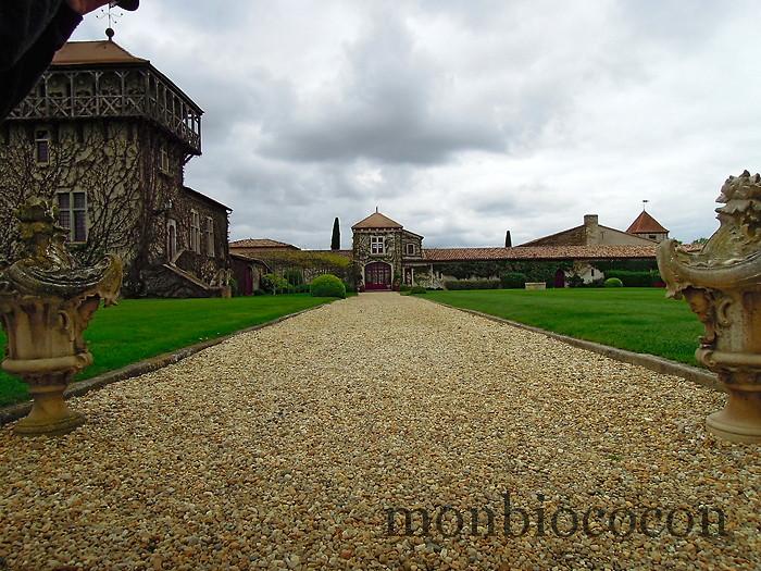 chateau-smith-haut-lafitte-gironde-vignoble-1