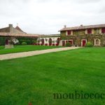 chateau-smith-haut-lafitte-gironde-vignoble-2