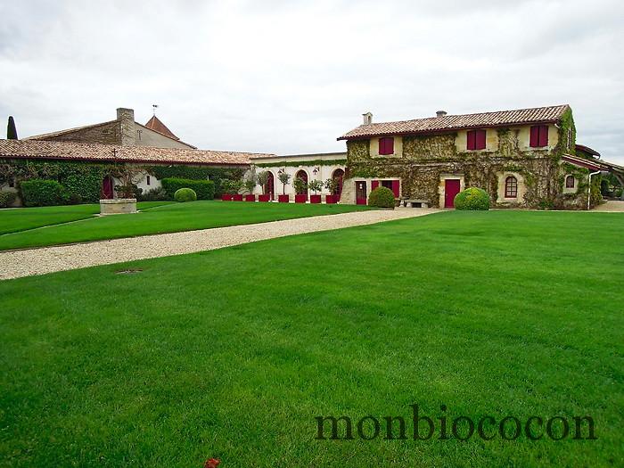 chateau-smith-haut-lafitte-gironde-vignoble-2