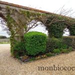 chateau-smith-haut-lafitte-gironde-vignoble-3