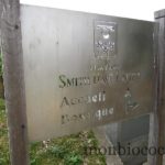 chateau-smith-haut-lafitte-gironde-vignoble-33