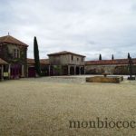 chateau-smith-haut-lafitte-gironde-vignoble-4