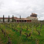 chateau-smith-haut-lafitte-gironde-vignoble-8