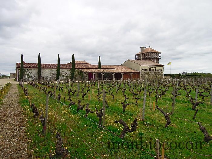 chateau-smith-haut-lafitte-gironde-vignoble-8