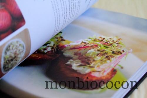 le-bio-book-éditions-larousse-livre-recettes-cuisine-biologique-