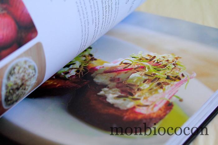 le-bio-book-éditions-larousse-livre-recettes-cuisine-biologique-4