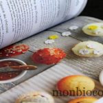 patisseries-gateaux-comme-un-chef-larousse