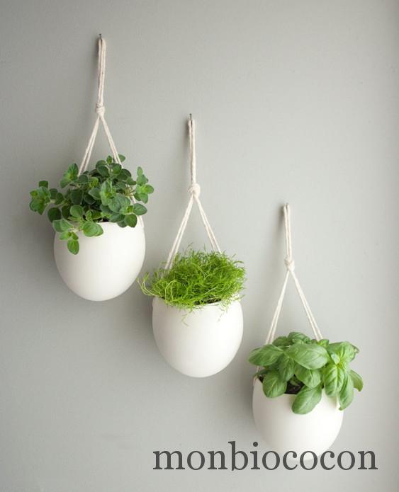 pot-de-plantes-suspendus-lien-coton-blanc