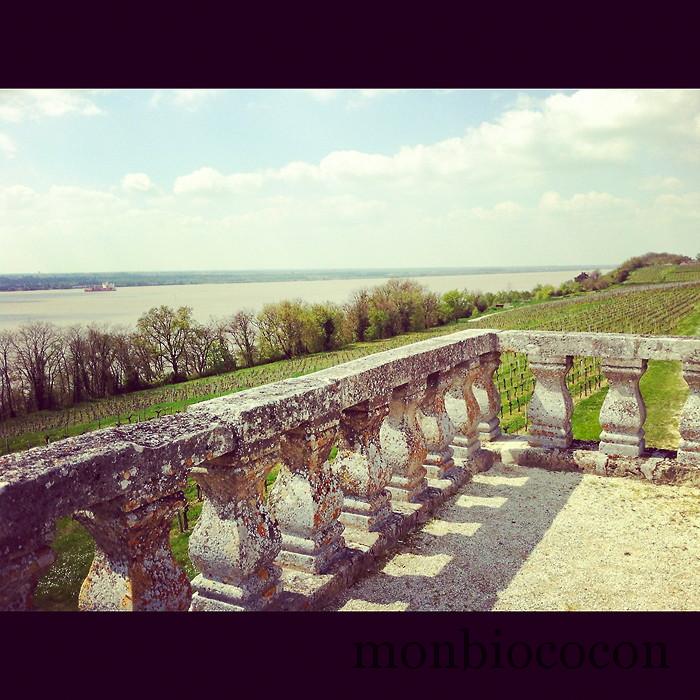 randonnée-tourisme-bourg-sur-gironde-aquitaine-0