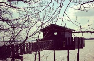 Randonnée et tourisme à Bourg sur Gironde, Aquitaine: à 45 min de Bordeaux, campagne ! randonnée-tourisme-bourg-sur-gironde-aquitaine-00