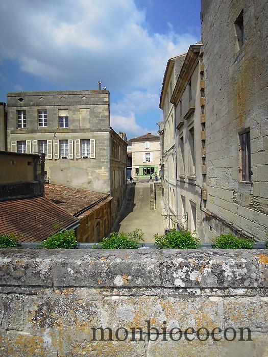 tourisme-bourg-sur-gironde-près-de-bordeaux-3