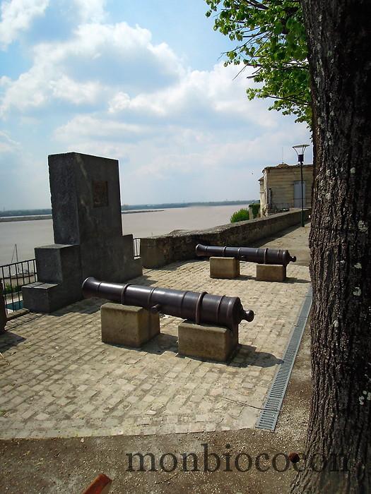 tourisme-bourg-sur-gironde-près-de-bordeaux-5