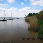 tourisme-bourg-sur-gironde-près-de-bordeaux-8