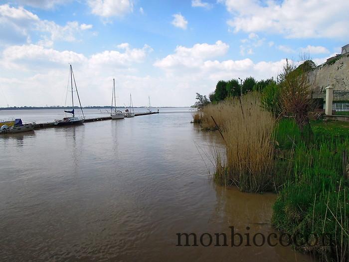 tourisme-bourg-sur-gironde-près-de-bordeaux-8