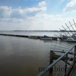 tourisme-bourg-sur-gironde-près-de-bordeaux-88