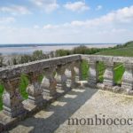 tourisme-bourg-sur-gironde-près-de-bordeaux-9