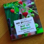 un-potager-sur-un-balcon-livre-jardinage-marabout-5