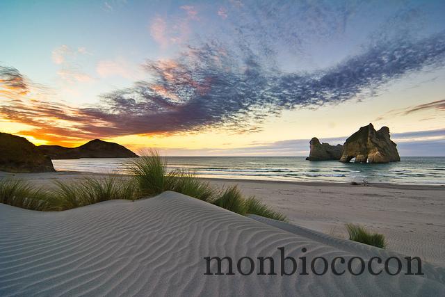 Wharariki Beach is the most gorgeous beach EVER_