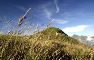 Dis moi tout sur toi… Euh… J’aime manger dans mon lit, écrire mes SMS aux water et _MG_7950