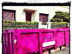 L’accessoire indispensable à toute fashionista, je l’ai dégoté ! benne-travaux-rose