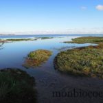 bassin-aquitaine