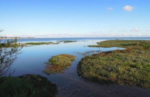 Lovely Andernos bassin-aquitaine