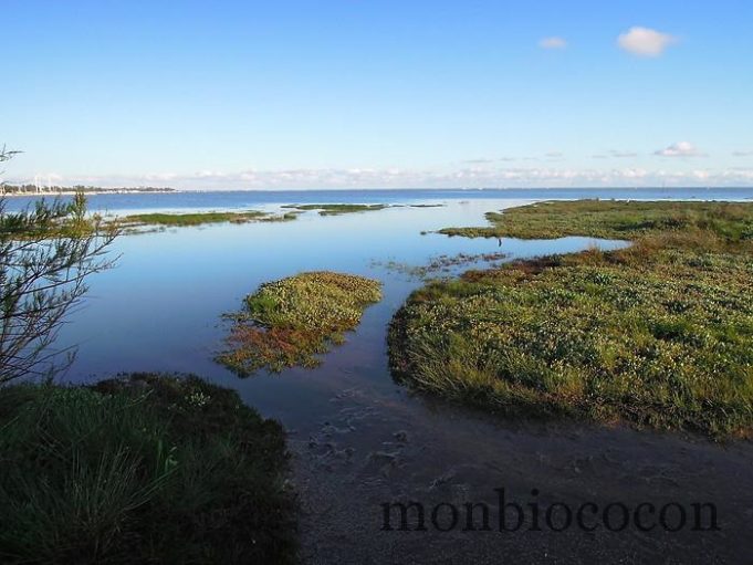 Lovely Andernos bassin-aquitaine