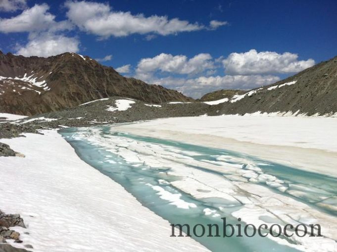 #2 Les Alpes : randonnée au Glacier et aux lacs d’Arsine lac-glacier-arsine-randonnée-alpes-000