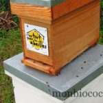 un-toit-pour-les-abeilles-0