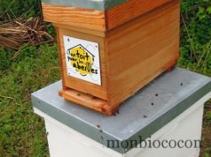 un-toit-pour-les-abeilles-0
