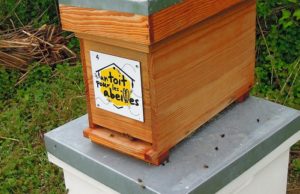 Un toit pour les abeilles, c’est important un-toit-pour-les-abeilles-0