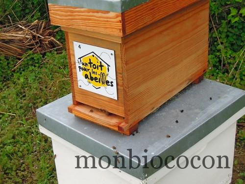 un-toit-pour-les-abeilles-0