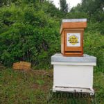 un-toit-pour-les-abeilles
