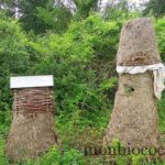 un-toit-pour-les-abeilles-3