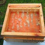 un-toit-pour-les-abeilles-7
