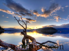 Pourquoi je rêve d’aller découvrir le Canada… pourquoi au juste ?