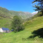 photo-17