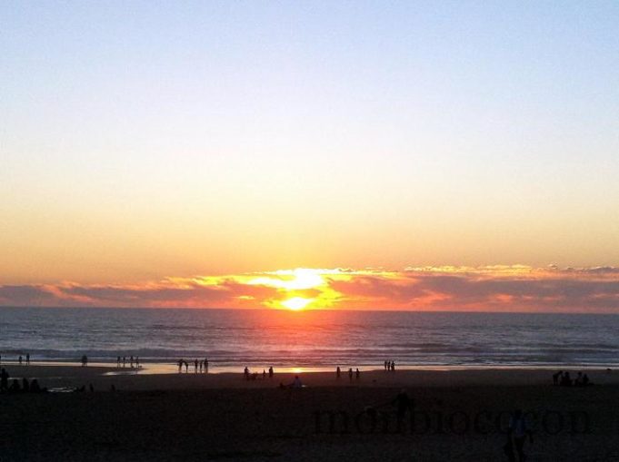 Une journée au Cap Ferret… ensoleillée ! photo-2