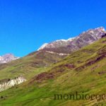 photo-7