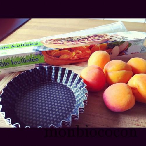 tartelettes-abricots-bio-simple