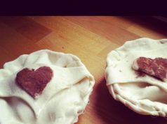 tartelettes-abricots-bio-simple-8
