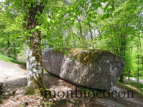 tourisme-bretagne-randonnée_