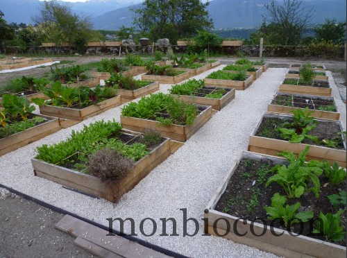 Des légumes gratuits dans la rue !