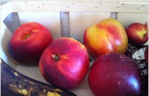 À Gradignan, je suis allée à La Compagnie Fermière : mon avis de mi- locavore fruits-nectarines-la-compagnie-fermière-bordeaux-gradignan
