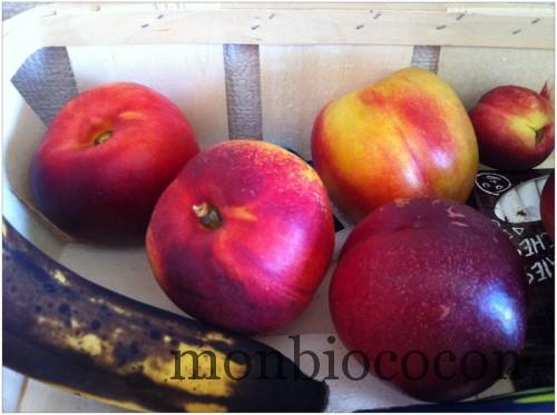 fruits-nectarines-la-compagnie-fermière-bordeaux-gradignan