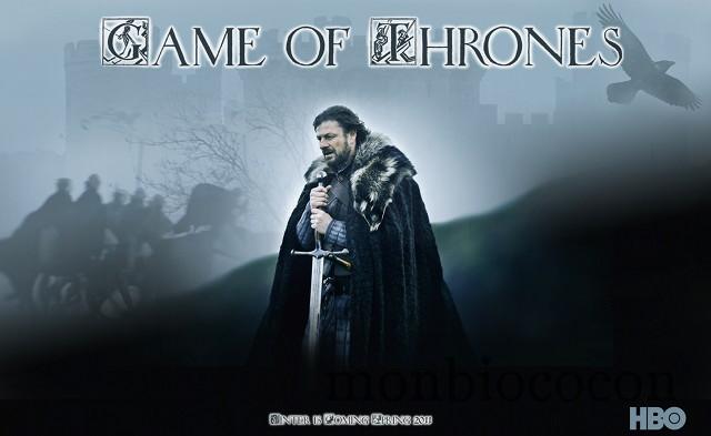 Game of Thrones : une série fantastique et héroïque pour laquelle je craque !