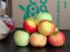 panier-fruitier-com-3-pom-panier-fruit-légume-bio-0