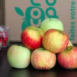 panier-fruitier-com-3-pom-panier-fruit-légume-bio-0